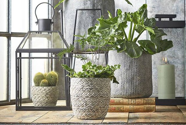 Mica Decorations