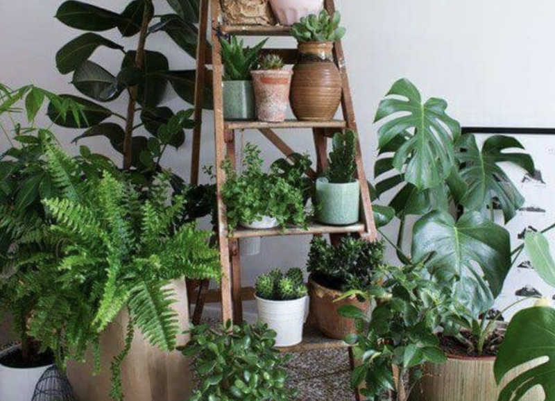 Een plantenhoekje inrichten in drie stappen