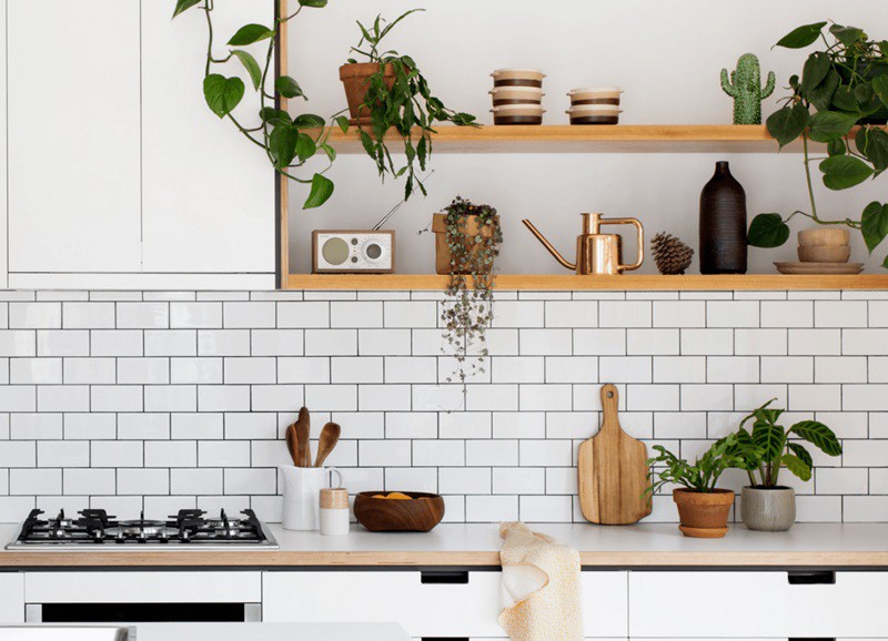 Bewezen: deze planten verwijderen kookluchtjes in huis