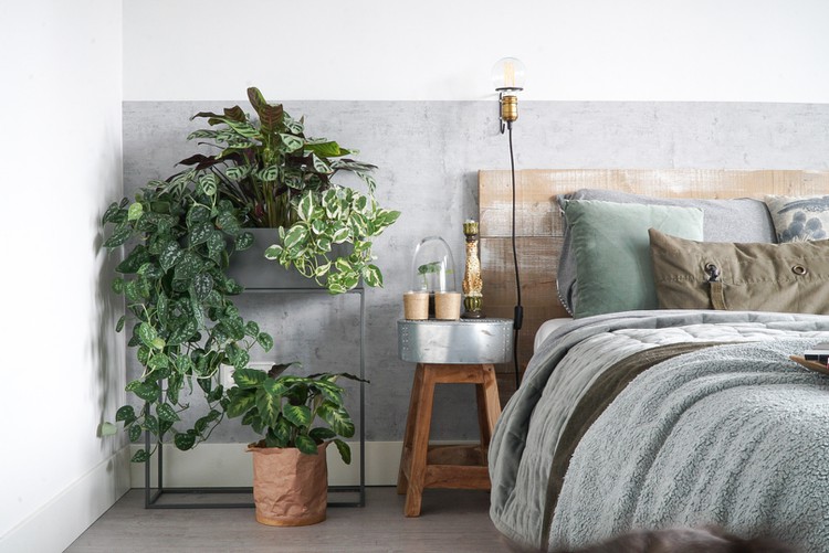 slaapkamer met planten