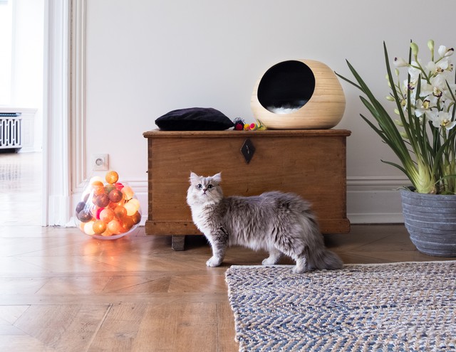 The Pet Empire