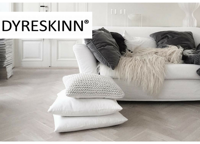 DYRESKINN
