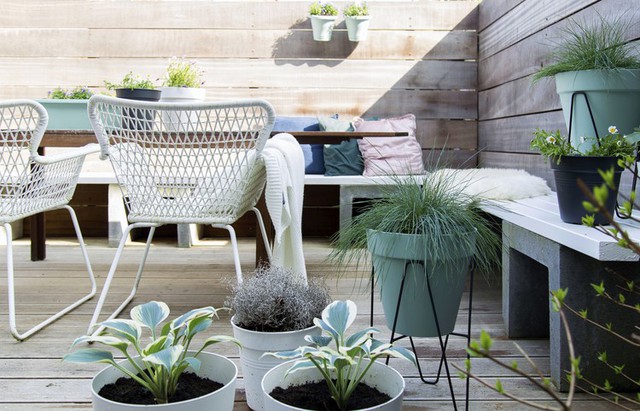 Budget shopping: 20x de leukste items om je tuin mee op te fleuren