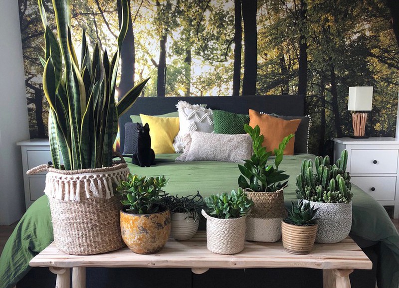 Geef je interieur een botanische twist met deze tips!