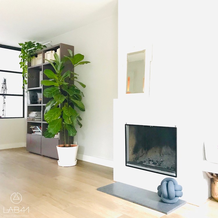 bedelaar aankunnen mechanisme Veel ruimte in huis? Ga voor één van deze 5 grote kamerplanten! |  HomeDeco.nl