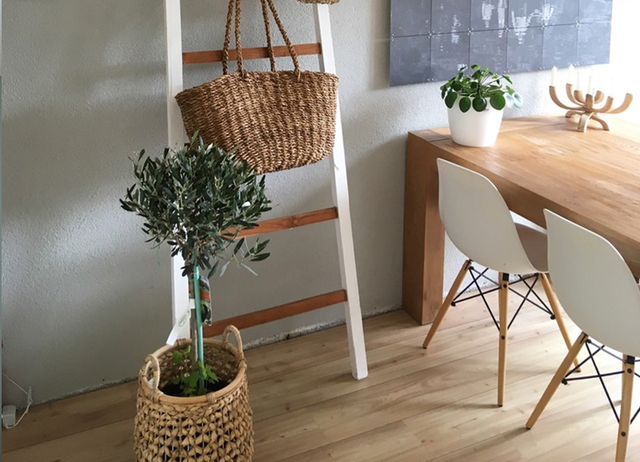 Budget shopping: witte stoelen onder €80