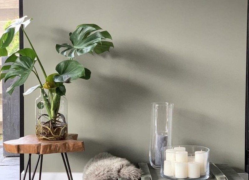 DIY: hydroponie, planten op water