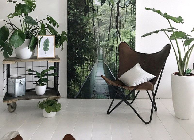 Met deze 6 tips maak je je huurhuis persoonlijk
