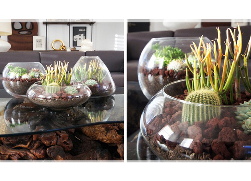 DIY: terrariums