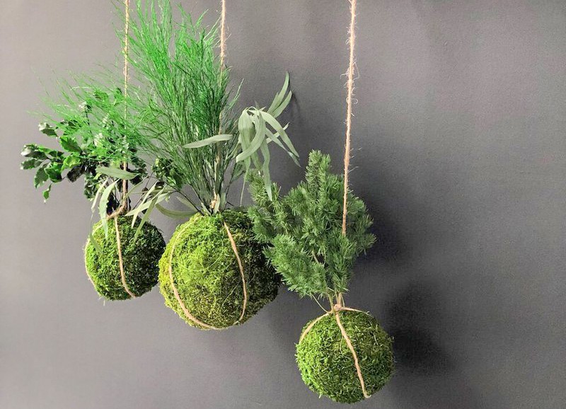 Door deze trend hoef je je planten nooit meer water te geven!