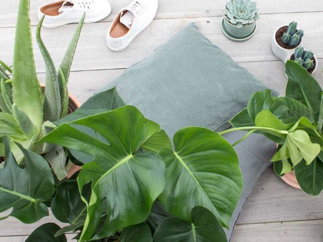 Green lifestyle store