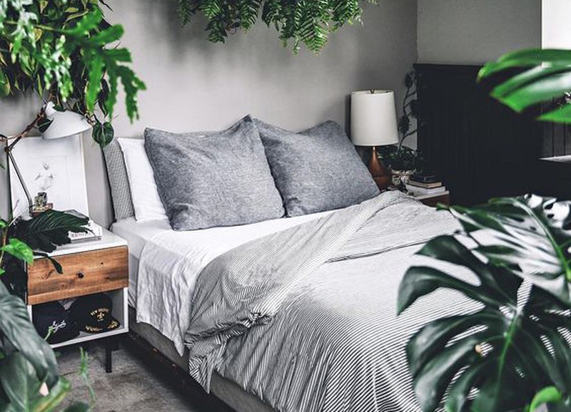 Slechte nachtrust? Deze 5 planten zorgen ervoor dat je beter slaapt
