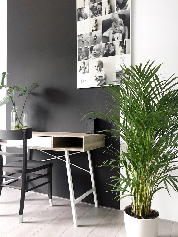 planten